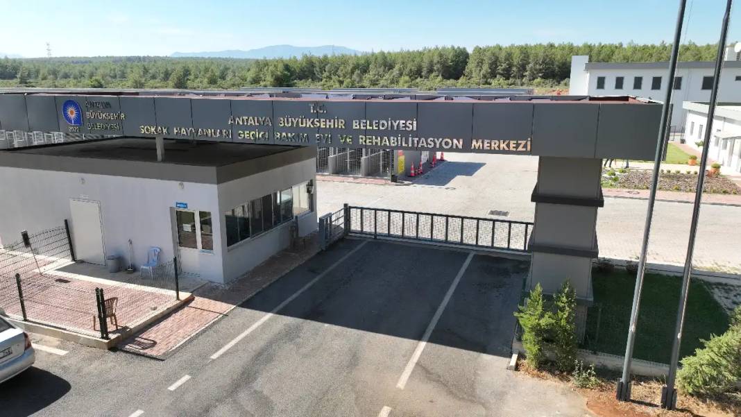 Türkiye’nin En Modern Hayvan Bakımevi Antalya’da 1
